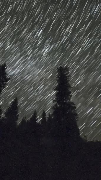 Skumulowany Czas Upływu Nocy Rozgwieżdżone Niebo Star Trails Nad Lasem — Wideo stockowe