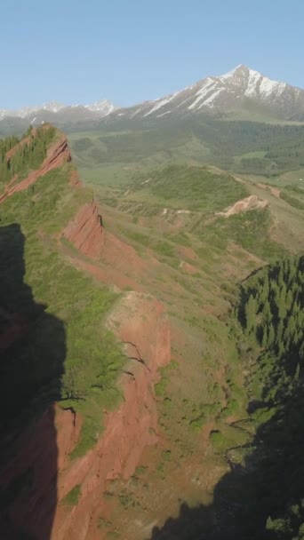 Red Rocks Coniferous Forest Mountains Background Tir Révélation Aérienne Drone — Video