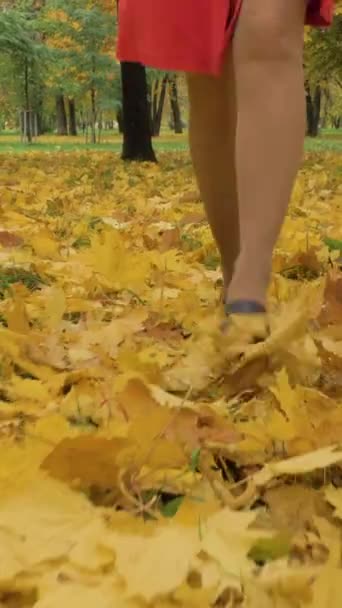 Mladá Štíhlá Krásná Běloška Běží Žlutém Spadaném Listí Parku Směrem — Stock video
