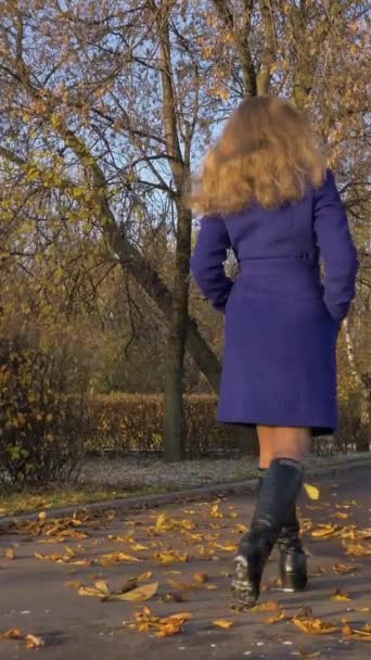 Kadın Pembe Bulutların Üzerindeki Dağ Platosuna Doğru Yürüyor Dikey Video — Stok video