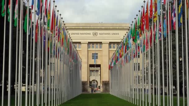 Geneva Switzerland February Bruary 2024 United Nations Organisation Office Flags — 图库视频影像