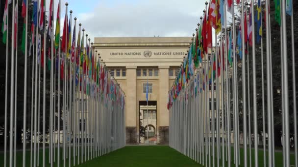 Женева Швейцария Февраля 2024 Года Офис Организации Объединенных Наций Флаги — стоковое видео