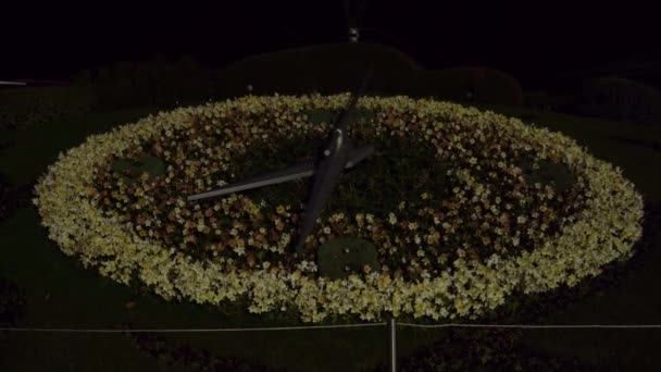 Geneva Switzerland Luty 2024 Zegar Kwiatowy Ogrodzie Angielskim Genewie Nocy — Wideo stockowe