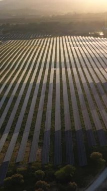Portekiz 'in Sunset kentindeki Büyük Fotovoltaik Güneş Panelleri Alanı. Güneş ışığı yansıması. Hava görüntüsü. İnsansız hava aracı yan yana hareket ediyor. Dikey Video