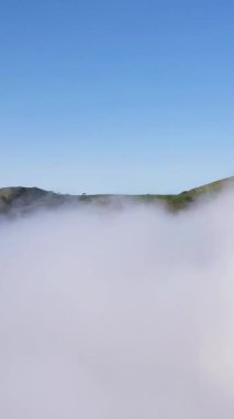 Fanal Ormanı ve Tepeleri. Güneşli günde Bulut Dönüşümü. Hava Aracı İniş Çekimi. Madeira, Portekiz. İleriye ve yukarıya doğru ilerliyoruz. Dikey Video