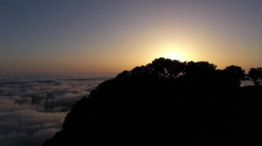Hill ve Trees Sunrise 'da. Bulut Dönüşümü. Hava Aracı Atışı. Madeira, Portekiz. İleri ve Yukarı Gidiyor