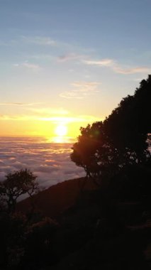 Hill ve Trees Sunrise 'da. Bulut Dönüşümü. Hava Aracı Atışı. Madeira, Portekiz. Alçak Seviye 'de ilerliyoruz. Dikey Video