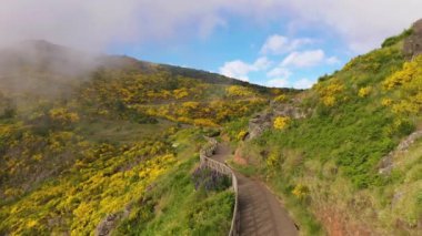 Paredao Viewpoint Yürüyüş Yolu. Sarı Çiçek Tepeleri. Hava görüntüsü. Madeira, Portekiz. İleriye Taşınma