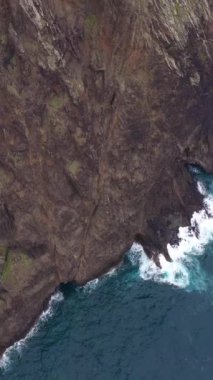 Kayalıklar ve Okyanus. Vereda do Larano. Madeira, Portekiz. Hava görüntüsü. İlerleme kaydediyoruz. Dikey Video