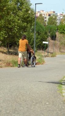 Güneşli bir günde Yeşil Park 'ta bir kadınla tekerlekli sandalyeyi iten adam. Geriye bak. Dikey Video