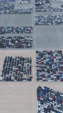Port 'taki Büyük Boş Otoparktaki Yeni Arabalar Dağıtıma Hazır. İhracat ve İthalat için Liman Araç Deposu. Otomobil endüstrisi. Hava görüntüsü. Yörüngede. Dikey Video