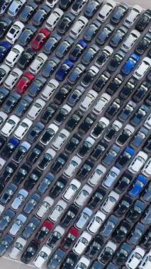 Port 'taki Büyük Otopark Alanında Dağıtıma Hazır Renkli Yeni Arabalar Sıralandı. Otomotiv endüstrisi. Yukarıdan Yukarıdan Aşağıya Havadan İHA atışı. Yukarı doğru, rotasyon. Dikey Video