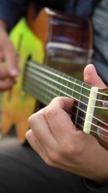 Yeşil Park 'ta gitar çalan süveter giyen adam. Orta boy shot. Dikey Video