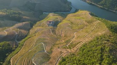 Sunny Morning 'de Douro Vadisi ve Douro Nehri. Üzüm bağları ve terasları olan yeşil tepeler. Portekiz. Hava Yüksek Açı Drone Atışı. Yörüngede