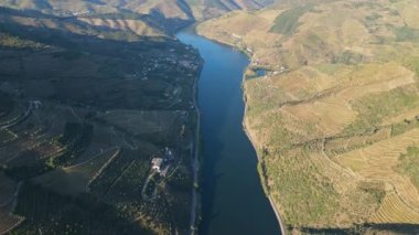 Sunny Morning 'de Douro Vadisi ve Douro Nehri. Yeşil Tepeler ve Dağlar. Portekiz. Hava Aracı Atışı. İlerleyin, ilerleyin. Görüntü Görüntüsü