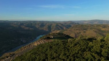 Sunny Morning 'de Douro Vadisi ve Douro Nehri. Yeşil Tepeler ve Dağlar. Portekiz. Hava Aracı Görüntüsü