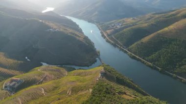 Sunny Morning 'de Douro Vadisi ve Douro Nehri. Üzüm bağları ve teraslar. Yeşil Tepeler ve Dağlar. Üzüm Hasadı Sezonu. Portekiz. Hava Aracı Atışı. Yörüngede