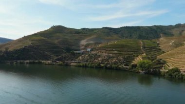 Güneşli günde Douro Vadisi ve Douro Nehri. Tren geçiyordu. Green Hills, üzüm bağları ve teraslar. Portekiz. Hava Aracı Atışı. İleriye Taşınma