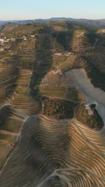 Douro Vadisi. Yeşil Tepeler ve Teraslar. Portekiz. Hava Aracı Atışı. Yanlamasına hareket ediyor. Dikey Video