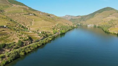 Güneşli günde Douro Vadisi ve Douro Nehri. Douro Tarihi Treni. Green Hills, üzüm bağları ve teraslar. Portekiz. Hava Aracı Atışı. İlerleme ve Treni Takip Etme