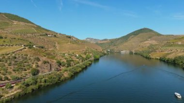 Güneşli bir günde Douro Vadisi, Tren ve Douro Nehri. Green Hills, üzüm bağları ve teraslar. Portekiz. Hava Aracı Atışı. Treni Takip Ederek İleri ve Yukarı İlerliyor. 