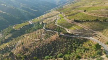 Araba Douro Vadisi 'nde. Güneşli bir günde Yeşil Teraslar ve Üzüm bağları. Portekiz. Hava Aracı Atışı. İleriye Taşınma
