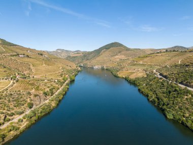 Güneşli günde Douro Vadisi ve Douro Nehri. Green Hills, üzüm bağları ve teraslar. Portekiz. Hava Aracı Görüntüsü