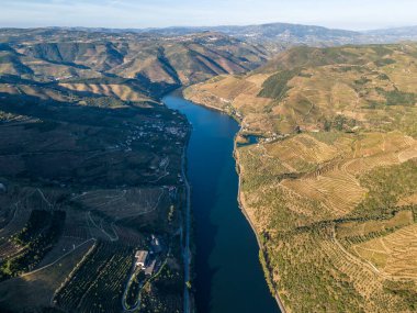 Sunny Morning 'de Douro Vadisi ve Douro Nehri. Yeşil Tepeler ve Dağlar. Portekiz. Hava Aracı Görüntüsü.