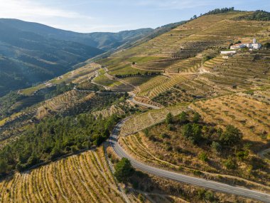 Douro Vadisi 'ndeki yol. Güneşli bir günde Yeşil Teraslar ve Üzüm bağları. Portekiz. Hava Aracı Görüntüsü