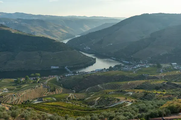 Douro Valley ve Douro River Meander Sunset 'te. Yeşil Tepeler ve Dağlar. Portekiz