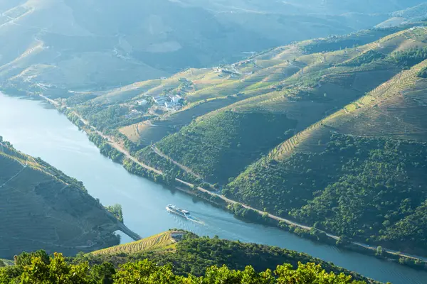 Douro Vadisi ve Douro Nehri. Güneşli bir sabah teknesi var. Yeşil Tepeler ve Dağlar. Portekiz.