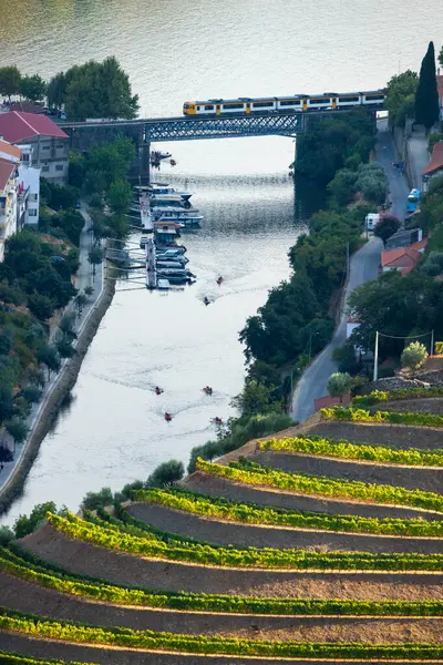 Douro Vadisi, Tren ve Douro Nehri. Green Hills, üzüm bağları ve teraslar. Pinhao, Portekiz