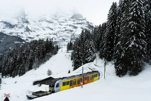 Bulutlu Kış Günü Grutschalp 'tan Murren ve Dağları' na giden tren. İsviçre Alpleri. İsviçre