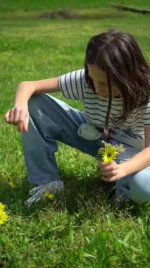 11 yaşındaki kız yaz güneşli bir günde yeşil parkta çiçek topluyor. Dikey video