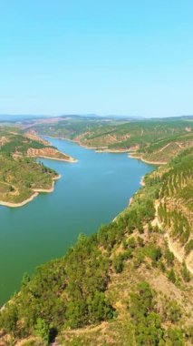 River ve Green Hills, Portekiz 'in merkezinde, güneşli bir günde. Hava görüntüsü. İlerleme kaydediyoruz. Dikey Video