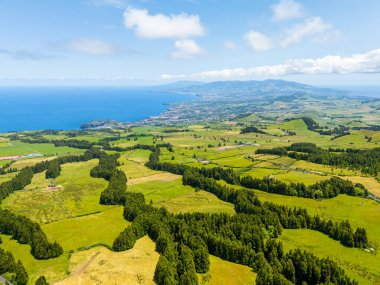 Pastureland ve Trees ile yemyeşil tepeler. Atlantik Okyanusu. Azores, Sao Miguel Adası. Portekiz. Hava Aracı Görüntüsü