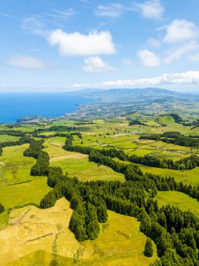 Pastureland ve Trees 'li Green Lush Hills. Atlantik Okyanusu. Azores, Sao Miguel Adası. Portekiz. Hava Görünümü
