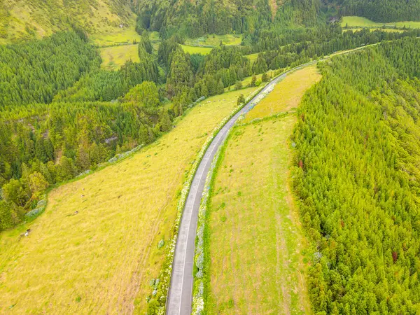 Ortancalarla yol. Green Fields, Pastureland, Forest, Hills. Azores, Sao Miguel Adası Portekiz. Hava Aracı Görüntüsü
