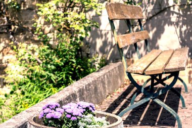 Bahçedeki güzel çiçekler