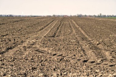 Geniş topraklı bir arazi.