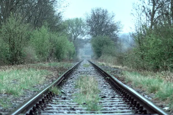 Ormandaki tren yolu.