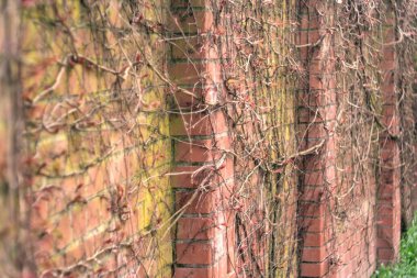 Kırmızı beyaz tuğlalı tuğla duvar