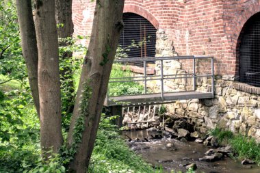 Parkın güzel manzarası