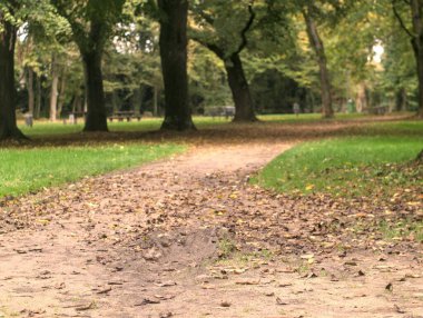 Sonbaharda sonbahar parkı.