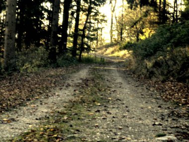 Doğanın güzel manzarası