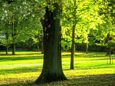 Parkın güzel manzarası