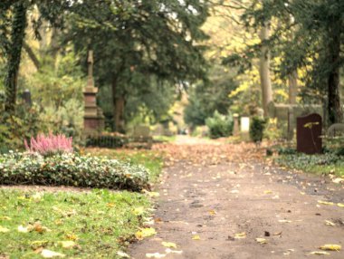 Parktaki tepede eski bir taş kilise.