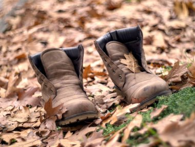 Sonbahar yaprakları yerde.