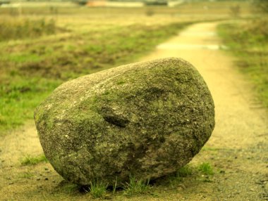Bir tarlanın ortasında çimlerin üzerinde bir taş..