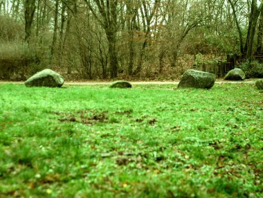 Çimenlerdeki taşlar